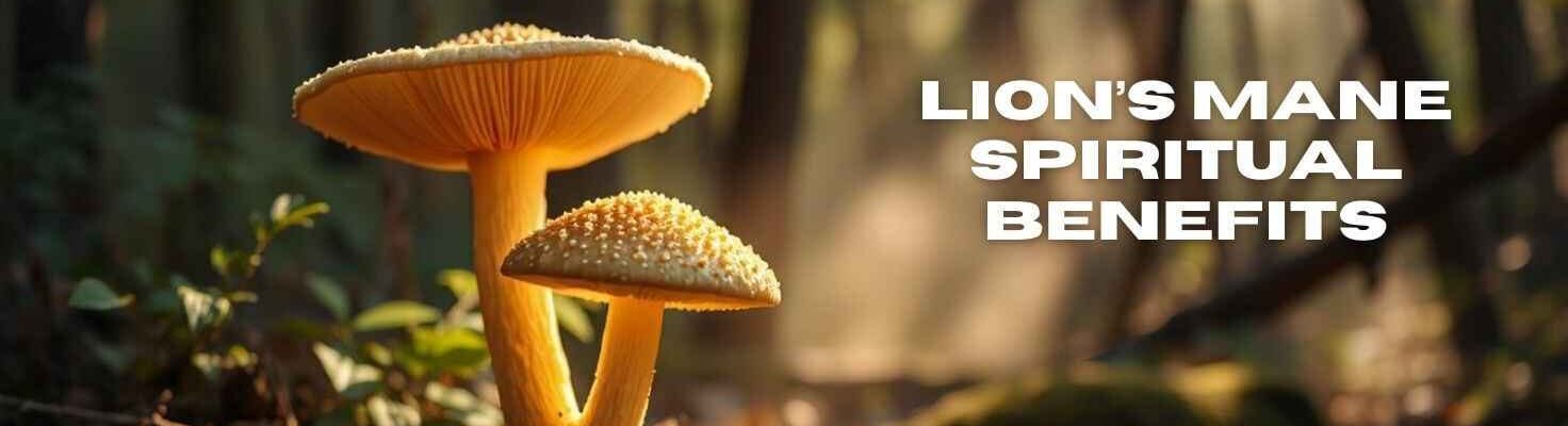 Unlock Hope and Peace: Lion’s Mane Spiritual Benefits Guide