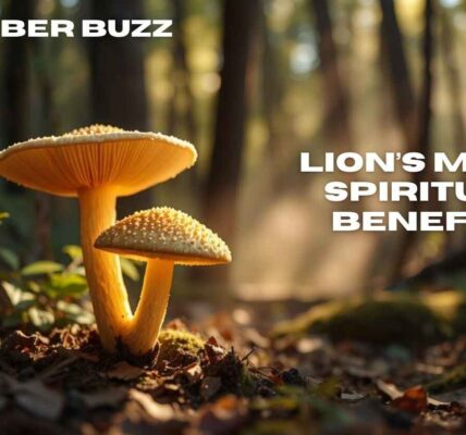 Unlock Hope and Peace: Lion’s Mane Spiritual Benefits Guide