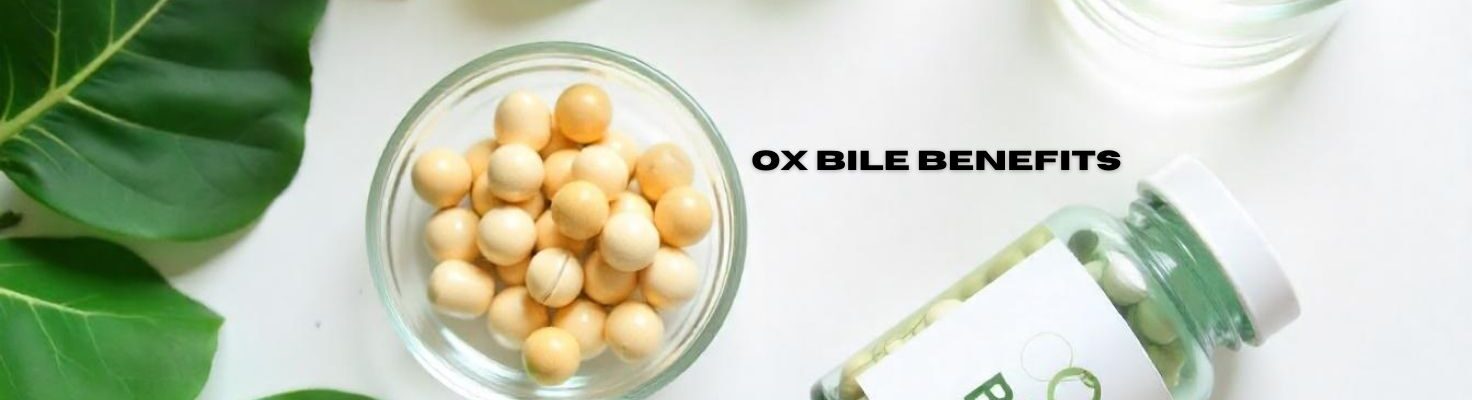 Unlock Relief: Ox Bile Benefits for Better Digestion