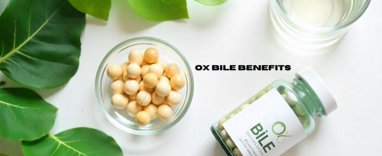 Unlock Relief: Ox Bile Benefits for Better Digestion
