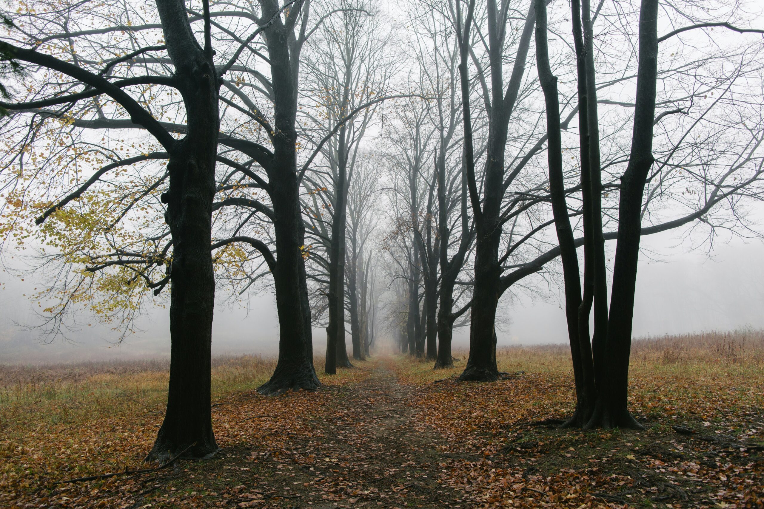 Hello World Featured Image