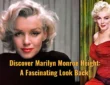 Discover Marilyn Monroe Height: A Fascinating Look Back!
