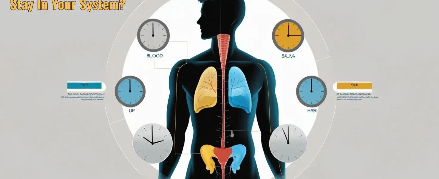 How Long Does Phentermine Stay In Your System? Expert Guide