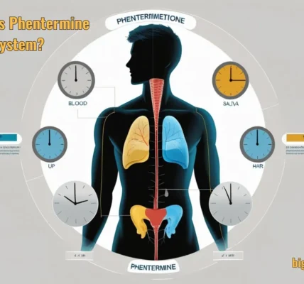How Long Does Phentermine Stay In Your System? Expert Guide