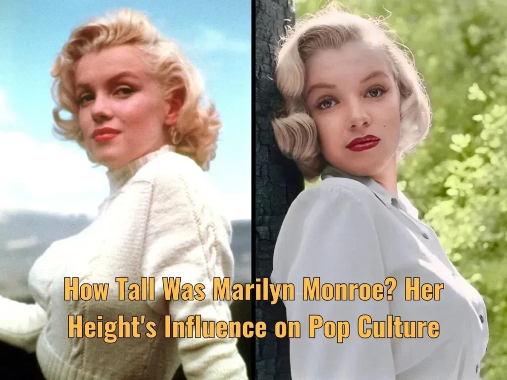 How Tall Was Marilyn Monroe? Her Height's Influence on Pop Culture