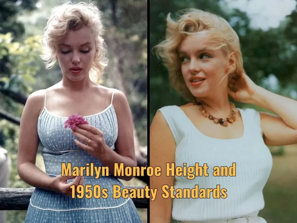 Marilyn Monroe Height and 1950s Beauty Standards
