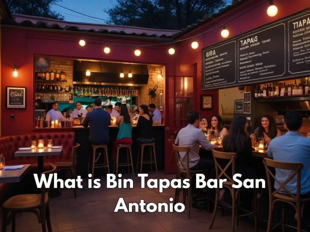 What is Bin Tapas Bar San Antonio