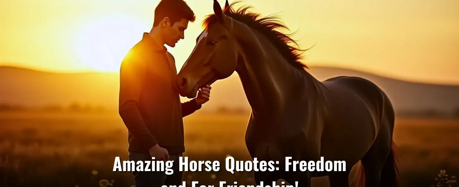 Amazing Horse Quotes: Freedom and For Friendship!