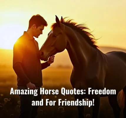 Amazing Horse Quotes: Freedom and For Friendship!