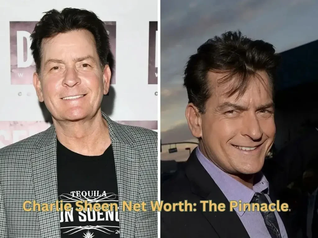 Charlie Sheen Net Worth: The Pinnacle