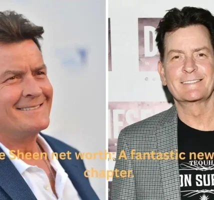 Charlie Sheen net worth: A fantastic new career chapter.