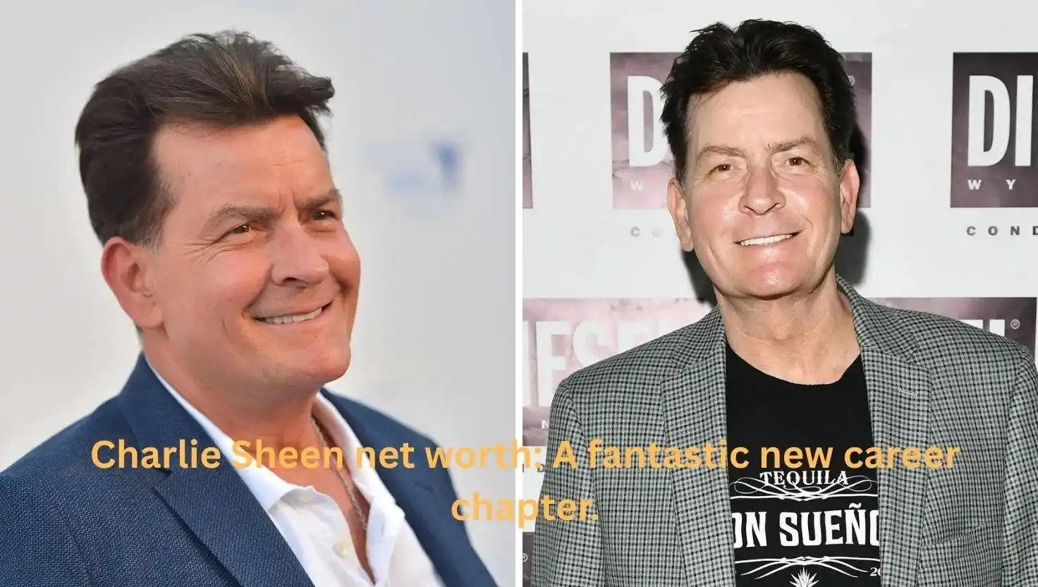Charlie Sheen net worth: A fantastic new career chapter.